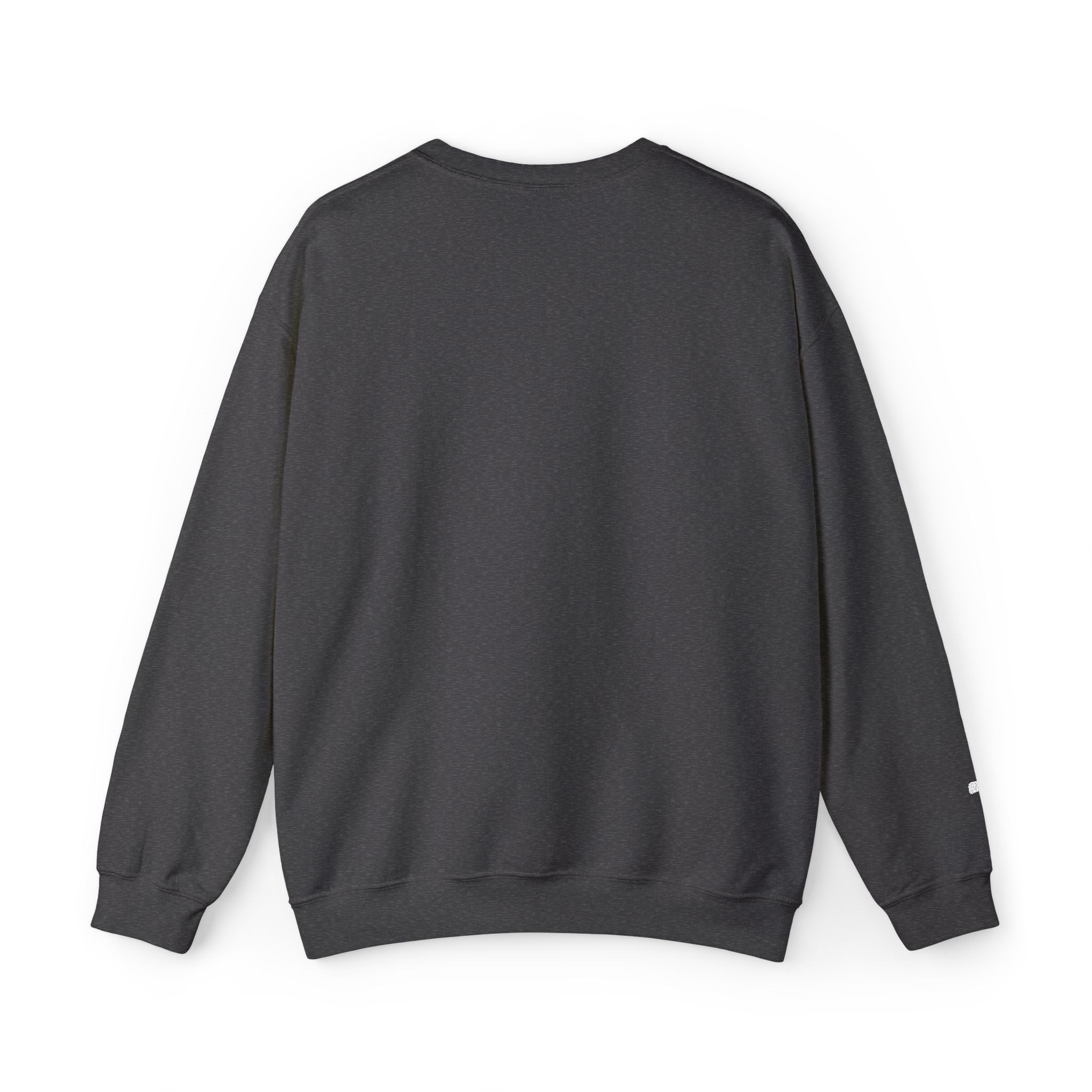 Faith Over Fear sweatshirt | small chest script logo