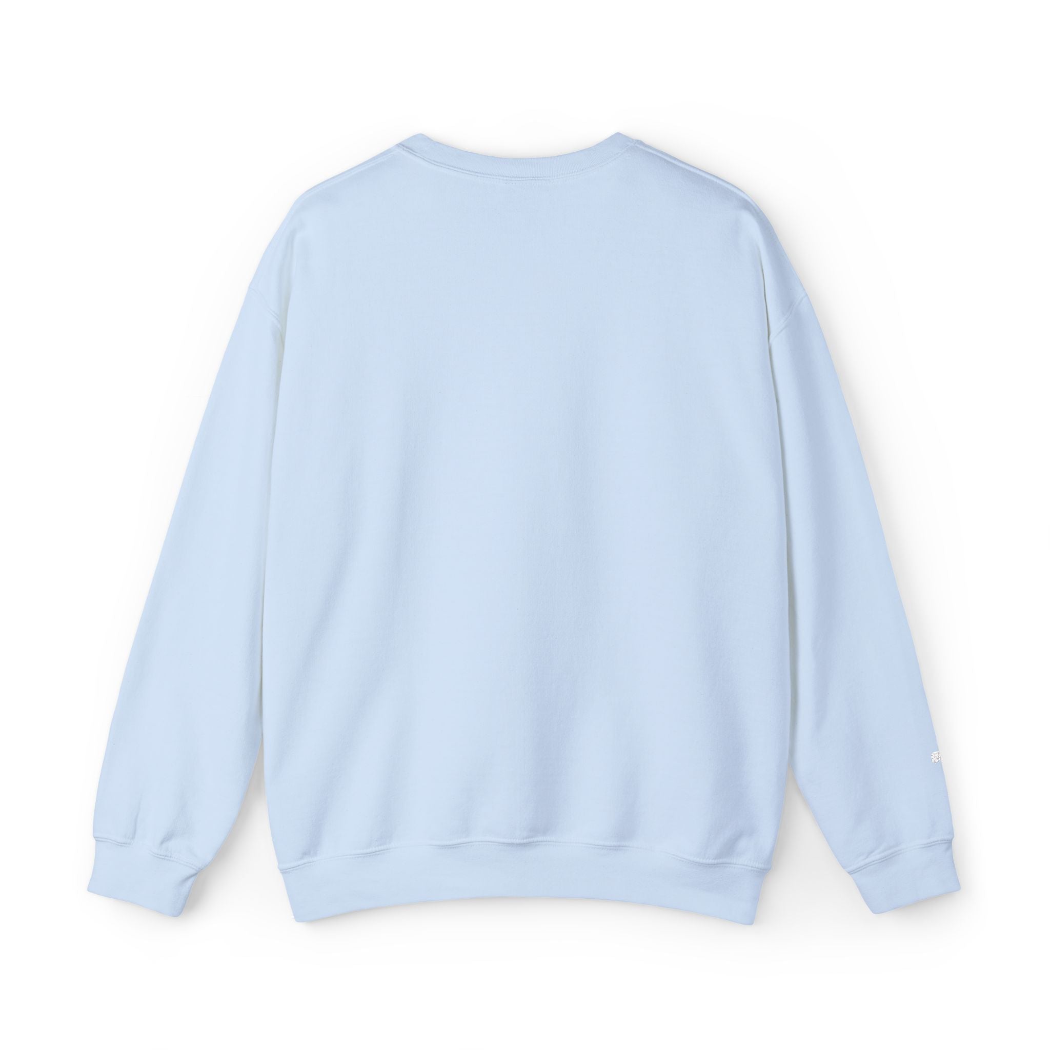 Faith Over Fear sweatshirt | small chest script logo
