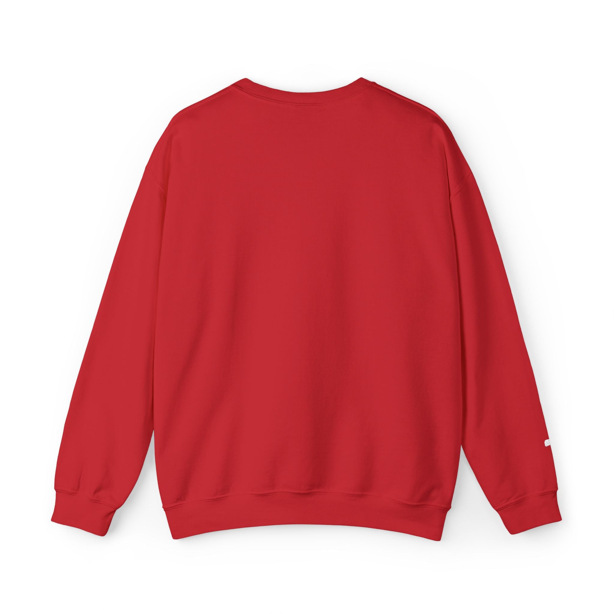 Faith Over Fear sweatshirt | small chest script logo