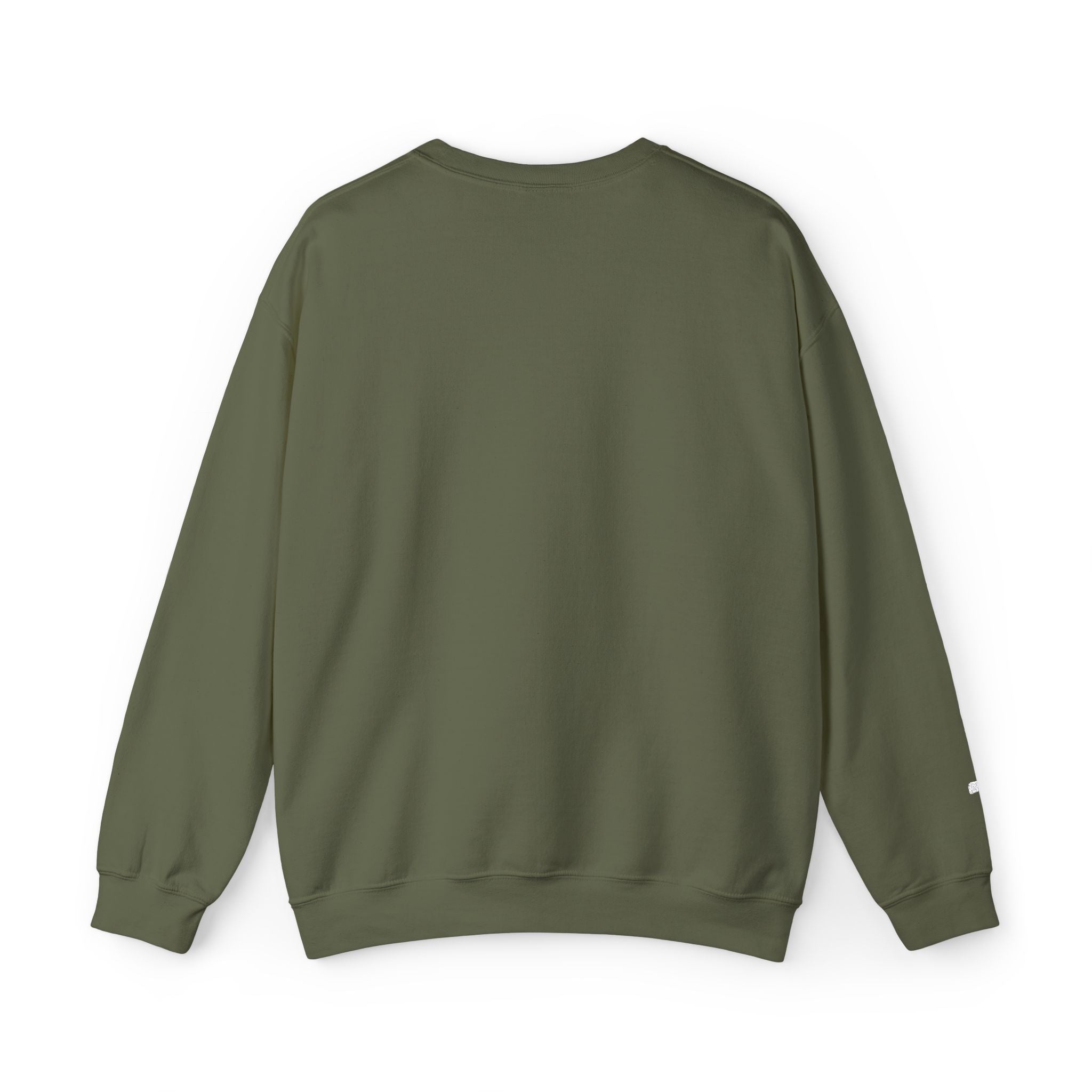Faith Over Fear sweatshirt | small chest script logo